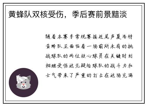 黄蜂队双核受伤，季后赛前景黯淡