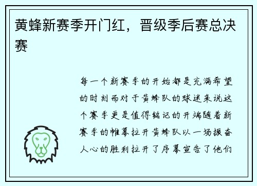 黄蜂新赛季开门红，晋级季后赛总决赛