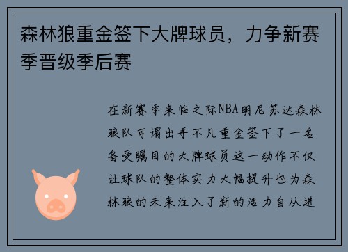 森林狼重金签下大牌球员，力争新赛季晋级季后赛
